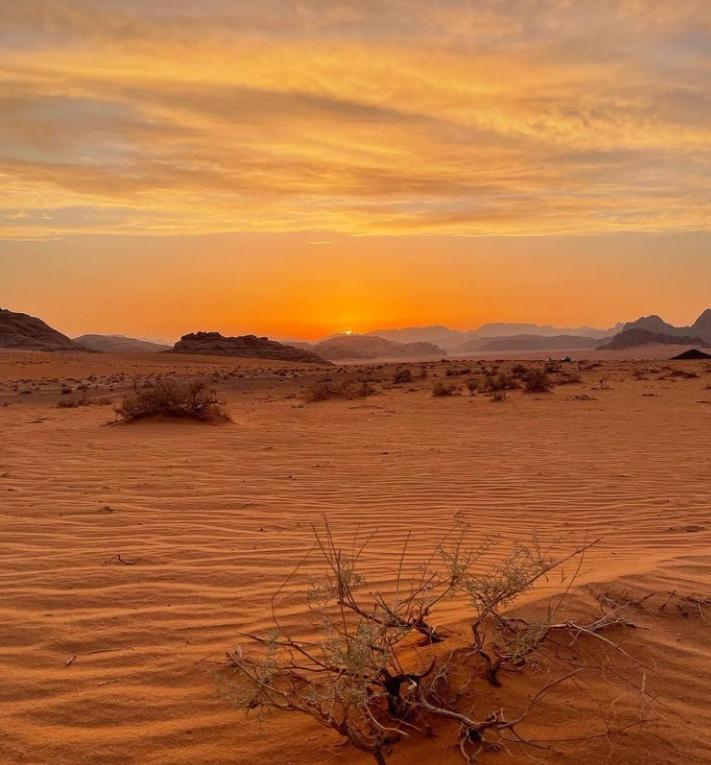 Wadi Rum Nature ภายนอก รูปภาพ