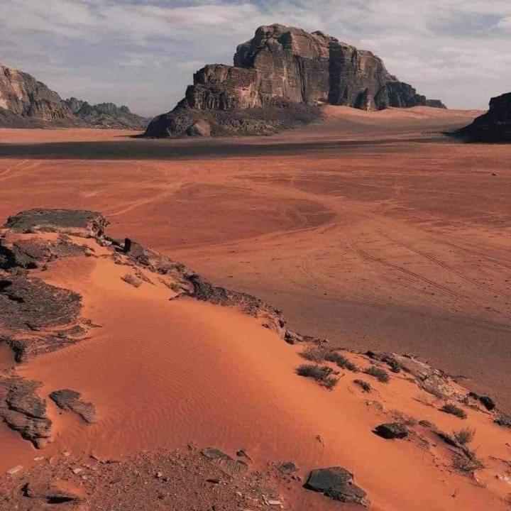 Wadi Rum Nature ภายนอก รูปภาพ